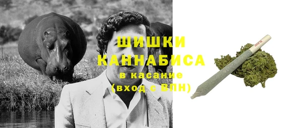 прущие грибы Бронницы