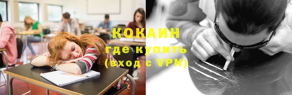 прущие грибы Бронницы