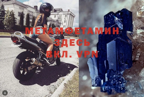 прущие грибы Бронницы