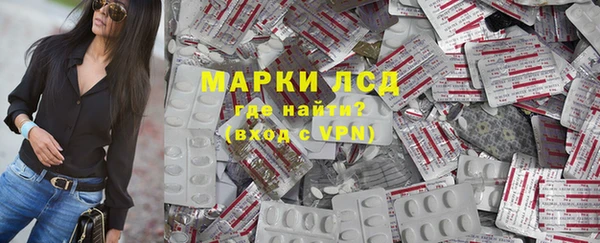 прущие грибы Бронницы