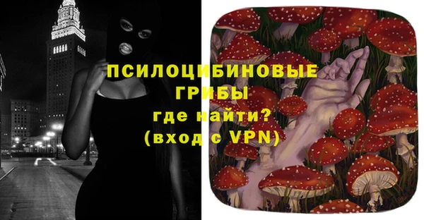 бошки Бородино