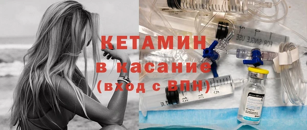 прущие грибы Бронницы