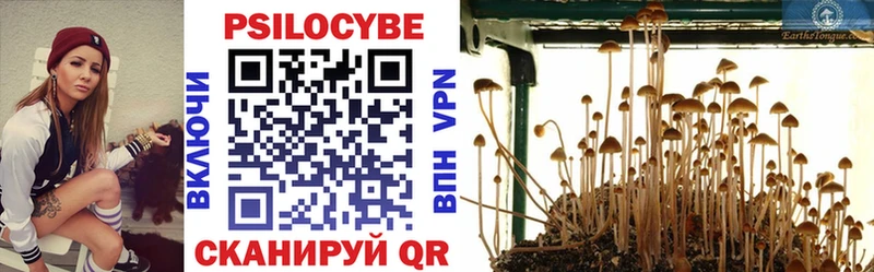 Псилоцибиновые грибы мухоморы  Новодвинск 