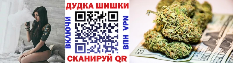 Шишки марихуана Amnesia Новодвинск